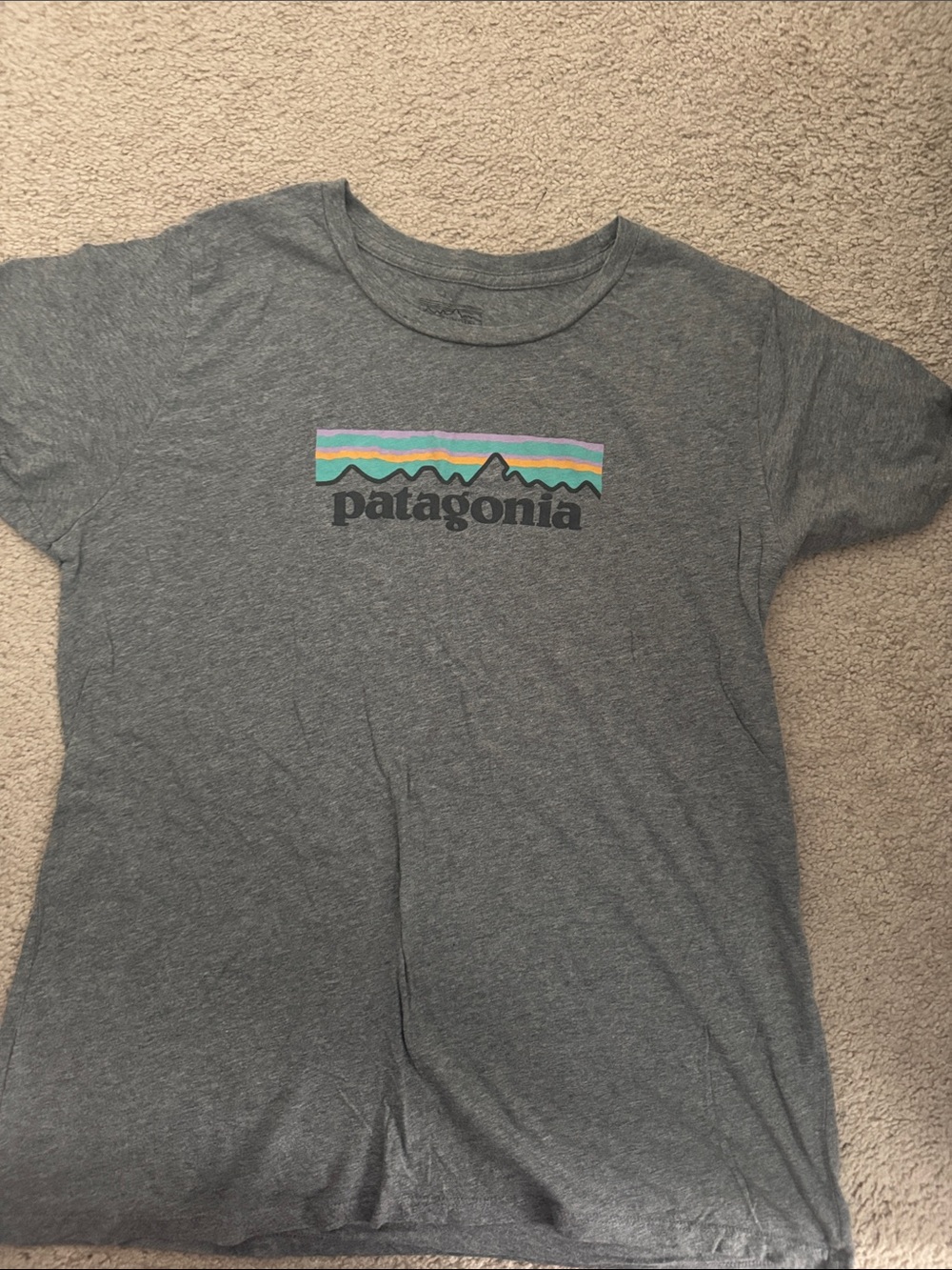 Patagonia Gray Short-Sleeve Tee with Multicolor Mountain Stripe